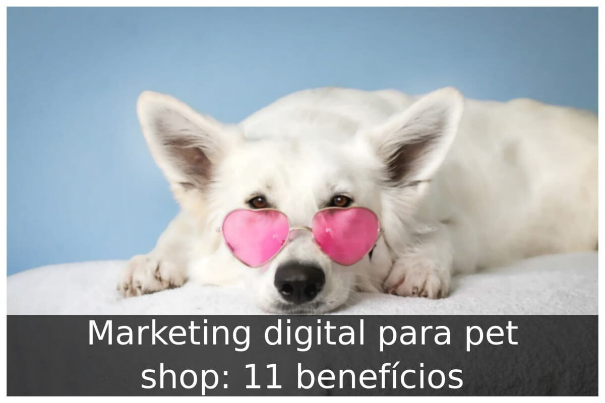 Marketing digital para pet shop
