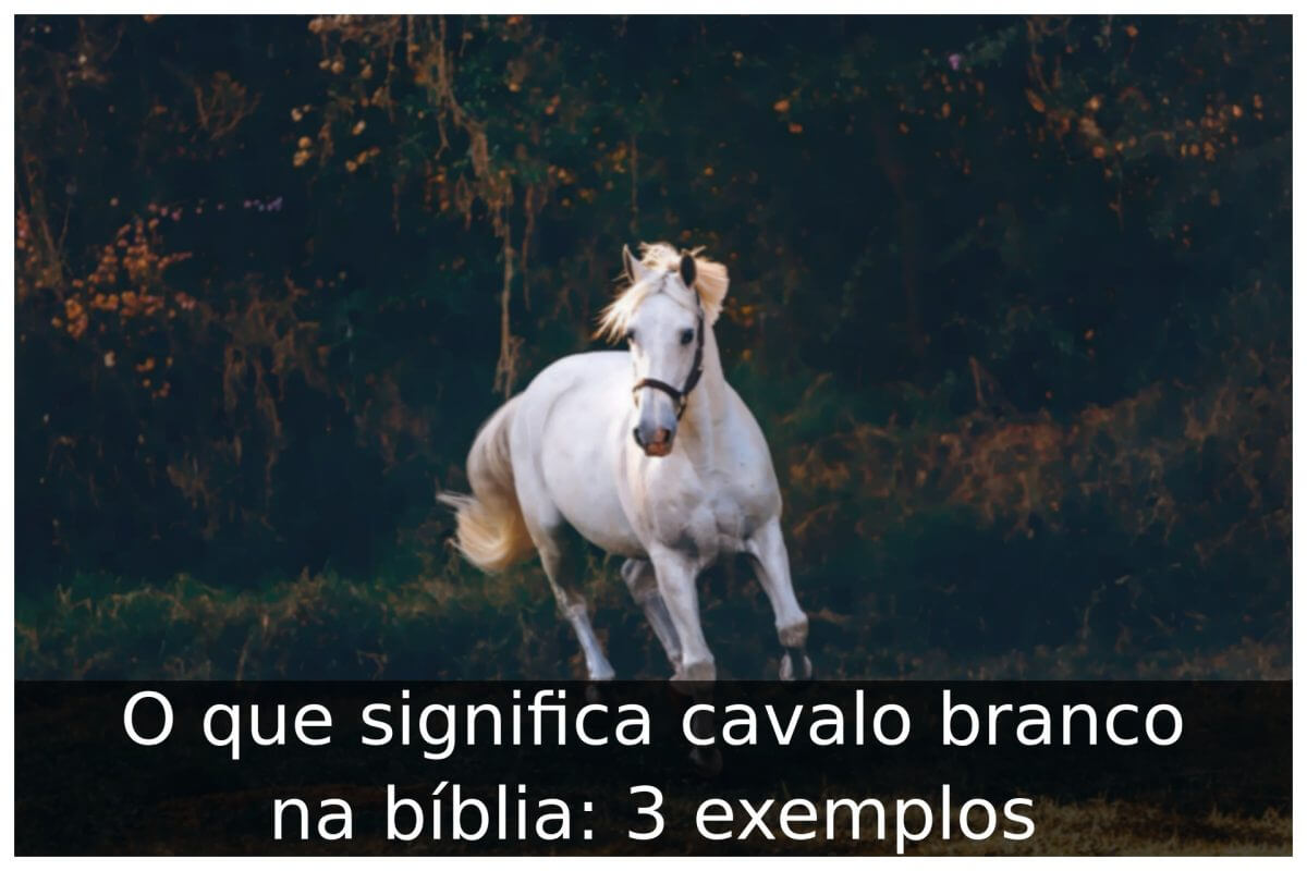 O que significa cavalo branco na bíblia