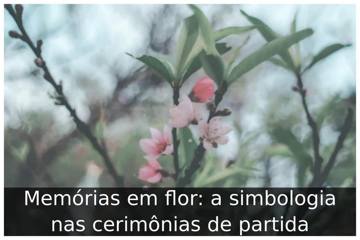 Memórias em flor: a simbologia nas cerimônias de partida